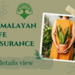 Blog banner of an article titled Himalayan Life Insurance in Nepal