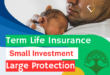 A banner of A Guide to Term Life Insurance in Nepal 2024